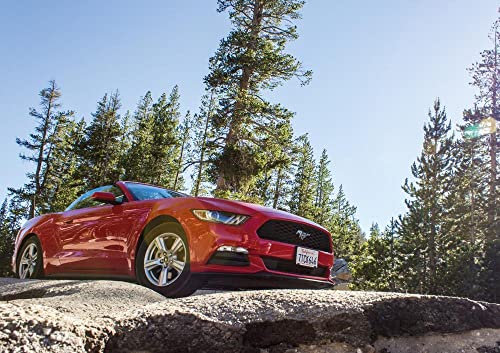 HANSEPUZZLE 17237 - Wilder Mustang Puzzle 130 Teile | Fortbewegung Puzzle mit hochwertiger Puzzle Aufbewahrung: Kartonbox und wiederverschließbarem Beutel | Puzzle-Maße: 28,7 x 20 cm