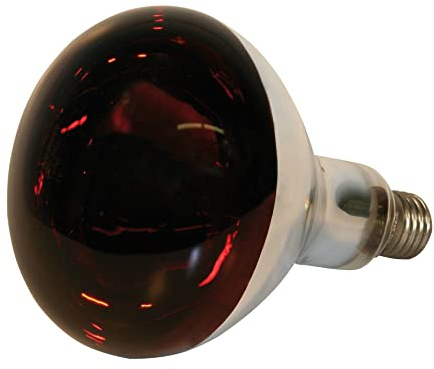 Göbel Infrarotbirnen 250 Watt rot 70610