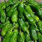 Semillas Pimiento Padrón | DECOALIVE | Semillas para Cultivar Pimientos de Padrón en Huerto Urbano