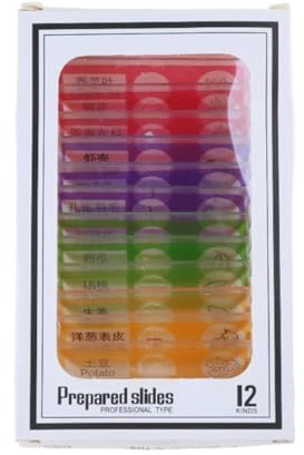 Plastic Prepared Microscope Slides Insect Biological Specimens Animal Plant Sample for Kids Science Educational