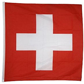 Flagge/Fahne Schweiz - 30 x 30 cm