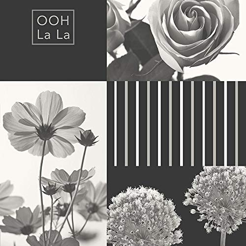 Crown Coco Black Wallpaper M1342 - French Stripe Photographic Floral R