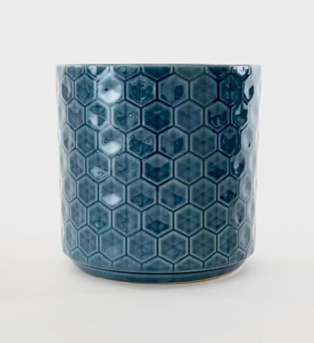 SaBrissi Vaso per piante da 16,5 cm, in ceramica, decorativo, per interni, motivo geometrico a nido d'ape, per piante grasse, fiori ed erbe aromatiche