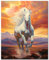 Peinture par numéros pour adultes, peinture de cheval blanc par numéro, course à cheval dans les montagnes, peinture par numéro avec pinceaux à peinture et pigment acrylique, 40,6 x 50,8 cm, pour