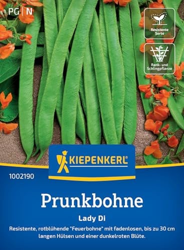 Kiepenkerl Profi-Line Prunkbohnensamen Lady Di 1002190 - Gemüsesamen für eine resistente 'Feuerbohne' mit bis zu 30 cm langen Hülsen und einem Inhalt für 8 bis 10 Stangen