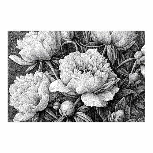 DMZPKZB bilder schwarz weiß Schwarz-weiße Punktmalerei Modern Bild auf Leinwand,Abstrakte Wandkunstdrucke,Wandbild für Wohnzimmer Schlafzimmer,Büro(Schwarz Weiß)-30x45cm Ungerahmt