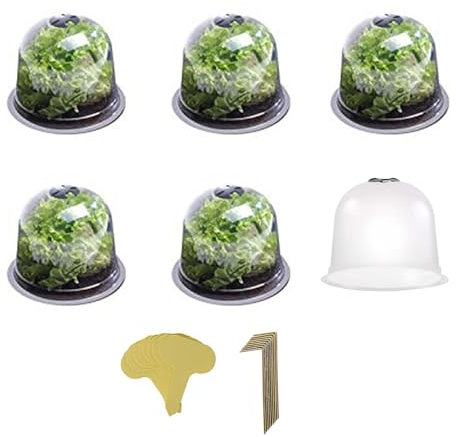 Ulisem Cloches à Salade en Plastique - Ensemble de 6 Couvertures à Salade Translucides, Boîte de Protection de Croissance de Plante de Cloche de Potager pour Jardin, Jardin, Potager