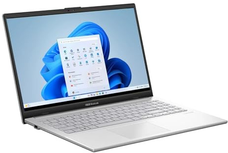 ASUS Vivobook Go E1504gA-WS35 - Computer portatile FHD con processore Intel i3-N305, 8 GB di RAM, memoria UFS da 256 GB, colore: Argento freddo