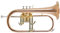 Roy Benson Bb-Flügelhorn FH-302G (mit 11mm MS Bohrung, Goldmessing Schallstück, Edelstahl Ventilen, inkl. leichtem Rechtecketui, mit Rucksackfunktion, Größe: 6), lackiert