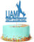 Personalised Aeroplane Birthday Cake Topper Airplane Decoration Any Name & Age