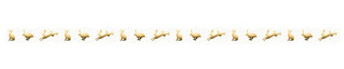 Ursus 59080033 - Masking Tape, Hasen, gold, Klebeband aus Papier, ca. 15 mm x 10 m, teilweise einseitig bedruckt und veredelt, lösungsmittel und säurefrei, ideal für Scrapbooking