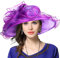 Femme Église Derby Robe Fascinator Mariée Baptême Fête Chapeau de Mariage (Violet)