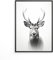MJ-Graphics - Natur Poster mit Hirsch - schwarz weiß Bild | Wandbild Din A4 dickes Posterpapier - FineArt Kunstdruck ohne Bilderrahmen
