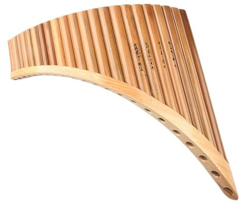 Einführung Für Anfänger In Das Professionelle Spielen Der 22-Röhren-Panflöte In Den Tonarten C/D/G/F (Color : C)