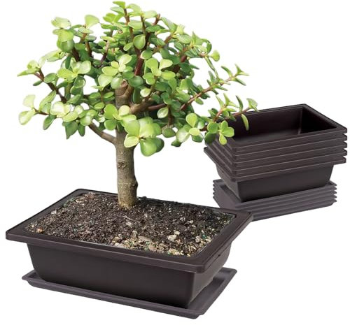 PRITOK 6 Stück Bonsai Trainingsschalen: 23x17x8cm Bonsai Trainingstöpfe mit Tablett, Bonsaischale Kunststoff Tief Blumentopf Rechteckige Pflanztopf für Gärten Innenhöfe Büros Wohnzimmer Balkone