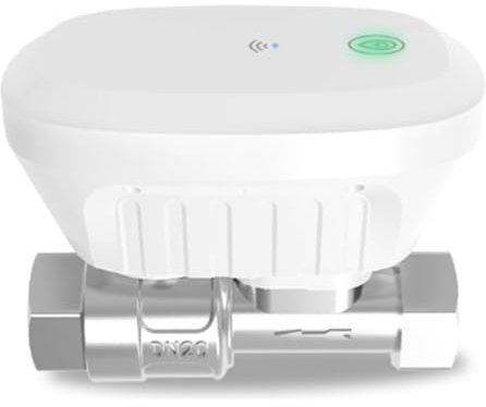 Ptdfjspt Tuya Smart WiFi Wasserventil Wasserzähler Wasserdurchflussrate Wassertemperaturanzeige Controller Smart APP Steuerung EU-STECKER