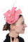 Coolwife Fascinators Pillbox Hut Sinamay Feder Blume Derby Ball Hochzeit Kirche Party Haarspange (Rosa)