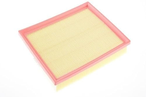 AUTOMEGA 180020610 Motor Air Filter Cartridge Compatible with Renault Clio II BB0/1/2, CB0/1/2 ESPACE IV JK0/1 Laguna II Grandtour KG0/1 Laguna II BG0/1 Vel Satis Hatchback