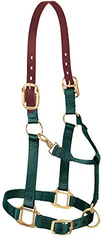 Weaver verstellbares Halfter für Kinn und Hals, Leder, Hunter Green, Small Horse