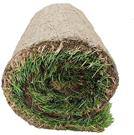KENTIS - Prato Vero a Rotoli con Diverse Misure a Scelta - Vera Erba Naturale per Giardino ed Esterni - 6 Metri Quadrati