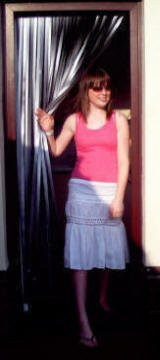 Slat type Door Curtain/Fly Blind- With pair of self adhesive hooks for uPVC doors-SILVER
