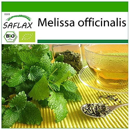 SAFLAX - BIO - Melissa - 1000 semi - Melissa officinalis