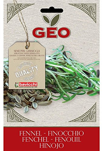 Geo VFI1103 Keimsaaten Fenchel, braun