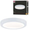 Paulmann 708.99 Deckenleuchte Abia LED Panel, 22 W, 2700 K, IP20, Ø 300 mm, Weiß, Kunststoff