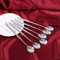 Cuillère à MazagranCuillère à Café à long Manche Cuillères à Mélanger, 6Pcs Cuillères en Acier Inoxydable Lunch Box