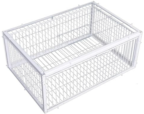 Trampa de Metal para Palomas con entradas unidireccionales y tragaluz, Jaula para pájaros para Granjas y jardines/16x12x10 Pulgadas