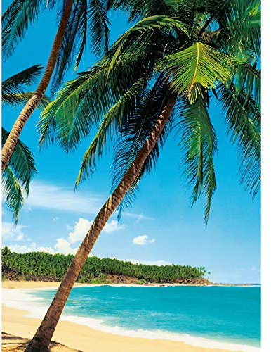 Strand Tapete mit Palmen | Schlafzimmer und Wohnzimmer Fototapete mit Urlaub Paradies in türkis grün | 3D Tropical Bildtapete mit Insel aus Vlies