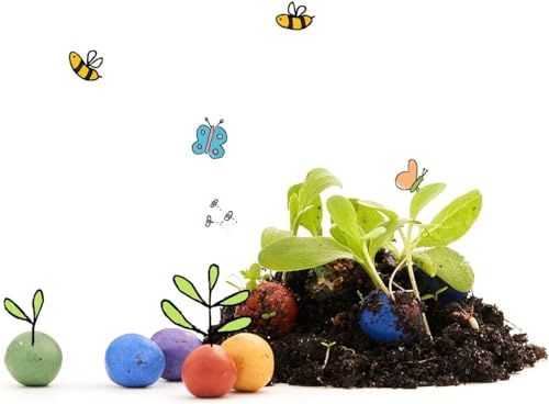 Les Jardiniers des villes I Billes de fleurs en vrac I 100 pièces I Bombes à graines pour enfants I Le petit cadeau aux goûters d’anniversaire