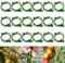 XIAGAW Pflanzenstützklammer, 100 Stück Tomatenclips, Pflanzenklammern Klein, Pflanzenclips Kletterhilfe Pflanzen, Tomaten Rankhilfe Klammern, Kunststoff Tomatenklammern für Kletterpflanzen (Grün)