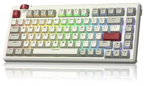 Redragon K777 75% Kabellose Gaming Tastatur Gasket Hot Swap RGB Grau&Beige | Tastatur mit Drehregler|Creamy thocky Sound|Tri-Mode BT5.0/2.4GHz/USB-C|North-Facing RGB|Gasket-Struktur|PC&Mac|Grau&Beige