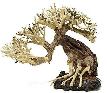 Bonsai Driftwood Aquarium Tree ASRB Random Pick (6in H x 8in L) Natural, Handcrafted Fish Tank Decoration | Easy to Install