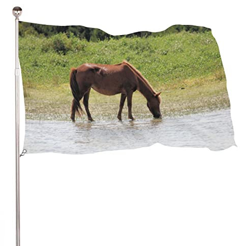 Bandera decorativa para jardín, diseño de caballos salvajes en The Outer Banks, diseño de banderas de bienvenida para jardín, decoración para colgar en el césped, 4 x 6 pies, 120 x 180 cm