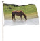 Bandera decorativa para jardín, diseño de caballos salvajes en The Outer Banks, diseño de banderas de bienvenida para jardín, decoración para colgar en el césped, 4 x 6 pies, 120 x 180 cm