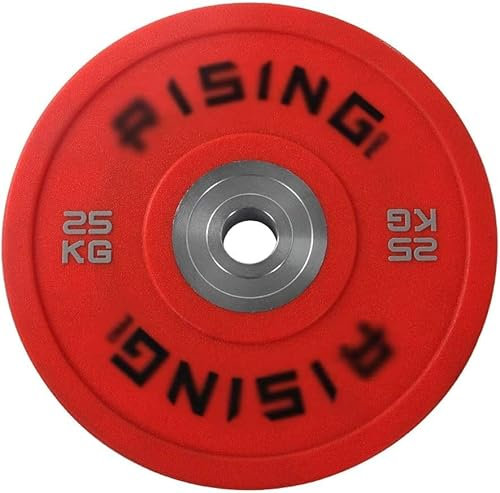 Habiba Bumper Plate 2pcs Cast Iron Barbell Training Weight Plates Home Fitness Dumbbell Plates Suitable for Bodybuilding Weight