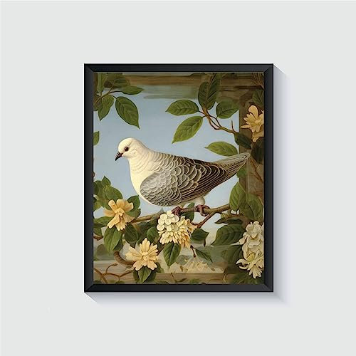 Dove Poster Kunstdruck Retro Vintage Vogel Wandkunst – Natur, Avian Thema, Vintage inspirierte Vogeldekoration (Taube, 27,9 x 35,6 cm (ungerahmt)