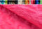 FABRICS-CITY PINK SOFTIG ZOTTY TEDDYFELL KURZHAARIG STOFF STOFFE, 4204