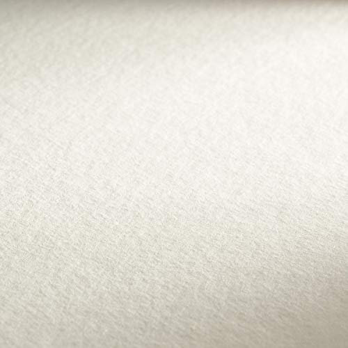 Hahnemühle Britannia, mattes naturweißes Aquarellpapier, 300 g/m², 10 Bogen, 50 x 65 cm