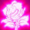 Onze