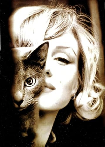 KUSTOM ART Dekoratives Wandposter Serie Star von HollYwood Marilyn Monroe Mit Katze Kunstdruck auf beschichtetem Papier 40 x 30 cm ohne Rahmen