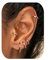 CASSIECA Silber Creolen für Damen und Herren - Chirurgenstahl Ohrringe in Gold - Knorpel, Huggie, Nase, Lippen, Helix Piercing Schläferohrringe 8/10/12/14/16MM