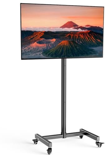 WHYFONE Soporte de TV móvil con Ruedas para televisores y monitores de 17 a 50 Pulgadas, Horizontal a Vertical, Altura Ajustable, Soporte de TV portátil con Ruedas MAX VESA 300 x 300 mm hasta 30 kg