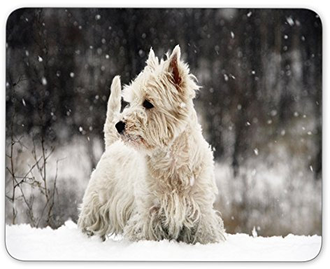 West Highland Terrier Maus Pad – rutschfestem Gummi Mauspad --- gilt für Spiele Home, Schule, Büro Maus Pad