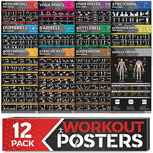 Laminiertes großes Workout-Poster-Set – perfekte Workout-Poster für das Fitnessstudio zu Hause – inkl.Übungstabellen, 12er-Set Hantel-, Yoga-Posen, Widerstandsband-, Kugelhantel-, Stretching- usw.
