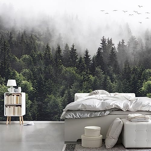 WFBHUA Papier peint forêt brumeuse paysage nature verte pour chambre à coucher, salon (ne pas décoller et coller)