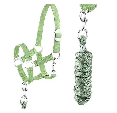 Halfter Führstrick Set mit Karabinerhaken verstellbar Pferdehalfter Pferd Holzpferd Anbindestrick (Karabinerhaken Grün, Mini Shetty)