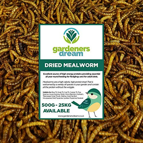 GardenersDream getrocknete Mehlwürmer- Narhaftes wildes Garten Vogelfutter (5KG)
